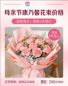 湘西花店母亲节康乃馨花束