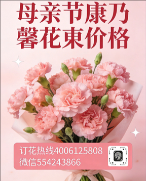 湘西花店母亲节康乃馨花束